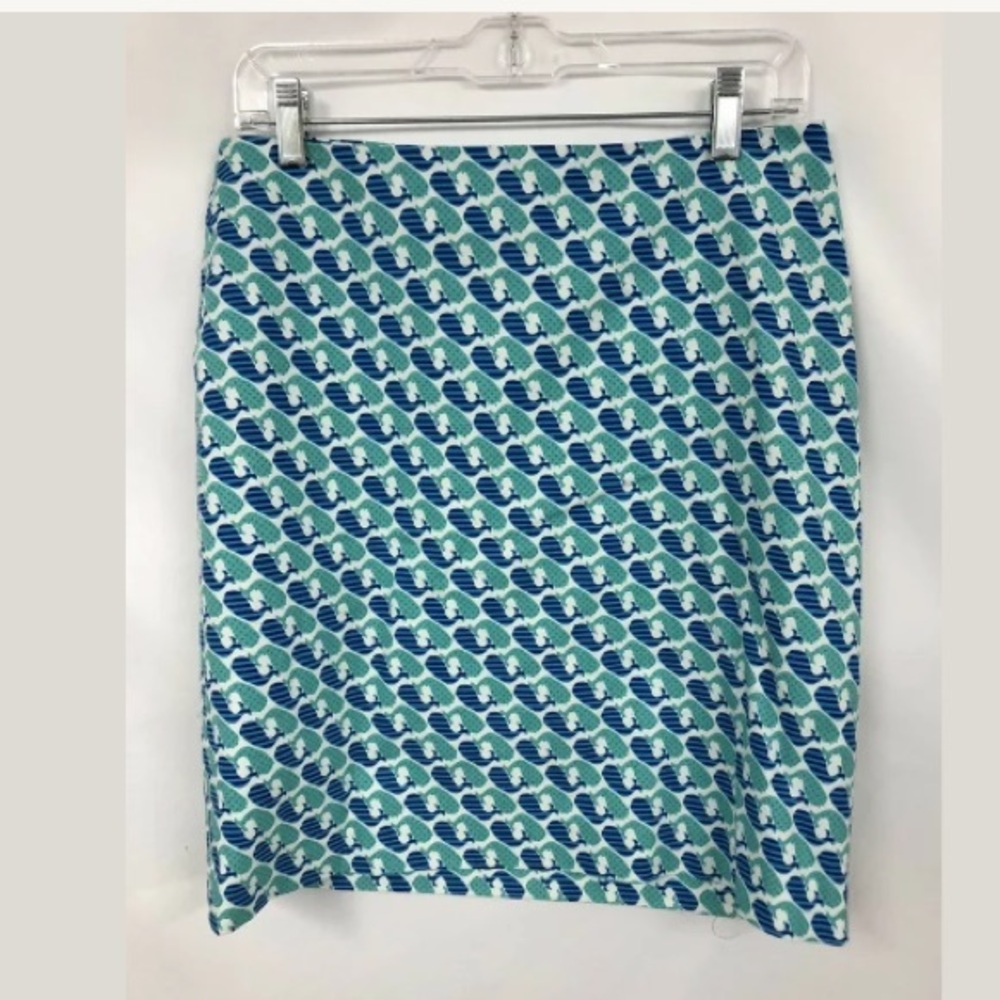 Talbots Blue and White A-Line Skirt